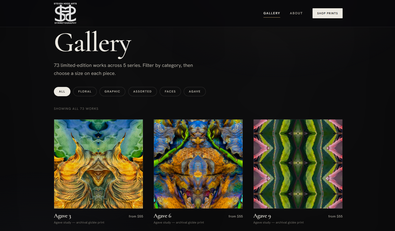 Steven Hood Arts homepage, designed and built by DayForge